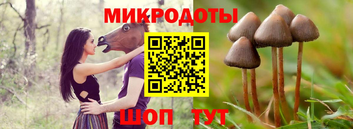 Галлюциногенные грибы Psilocybe  Вход с VPN  Калуга 
